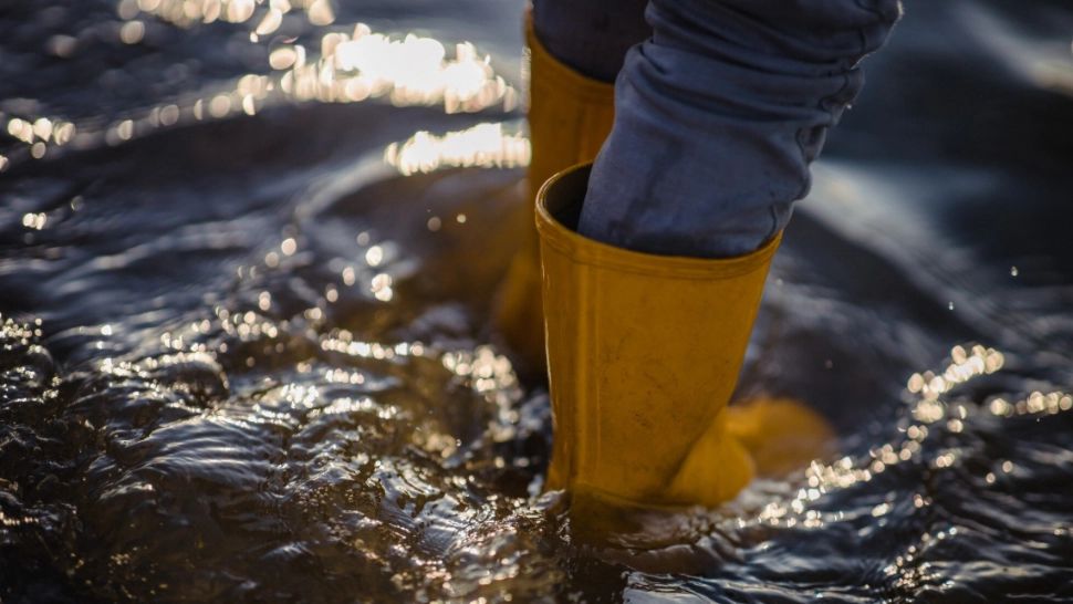 Nu vine Potopul. Specialiștii explică de ce ploaia din aceste zile nu e un dezastru, ci o necesitate