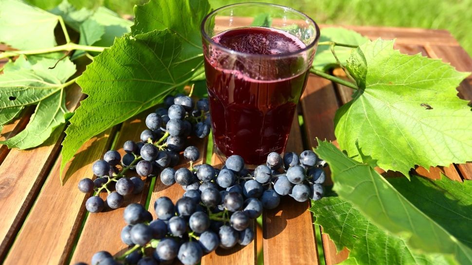 Cum să te bucuri de savoarea mustului întreaga toamnă: trucuri ca să nu fermenteze prea repede