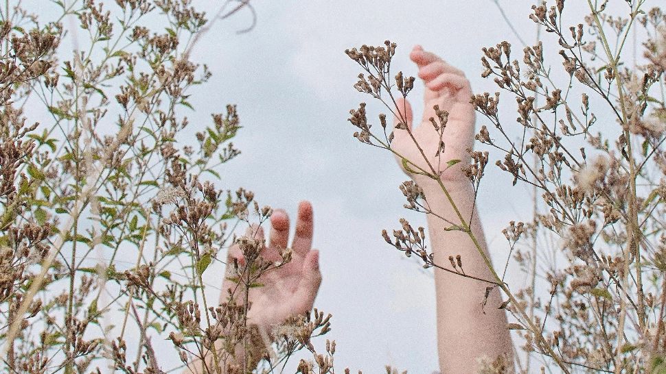 Zodii care vor trece printr-o transformare profundă începând cu 21 octombrie 2025. Vor renaște din propria cenușă