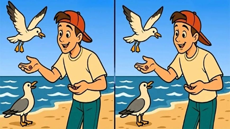 Test IQ: poți găsi diferențele dintre cele două imagini în mai puțin de 30 de secunde?