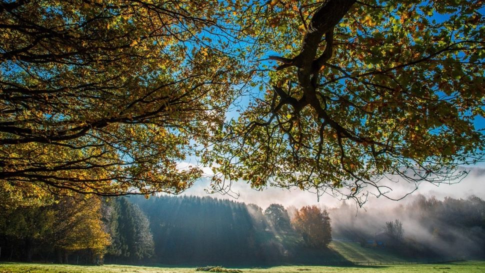 Vreme mai caldă decât în mod obișnuit la final de noiembrie. Prognoza ANM pentru următoarele 4 săptămâni