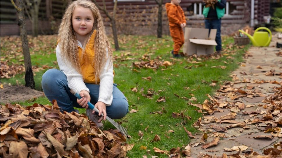 Greșeala de toamnă care îți poate goli portofelul. Amenda ajunge la 6.000 de lei  