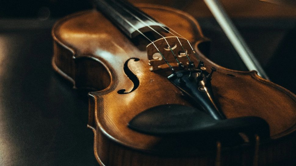 Vioara lui Albert Einstein a fost vândută la licitație pentru o sumă fabuloasă