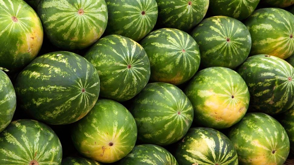 Scandal de amploare într-o piață din Constanța: un bărbat a stropit trei tone de pepeni cu benzină și a lansat amenințări cu moartea