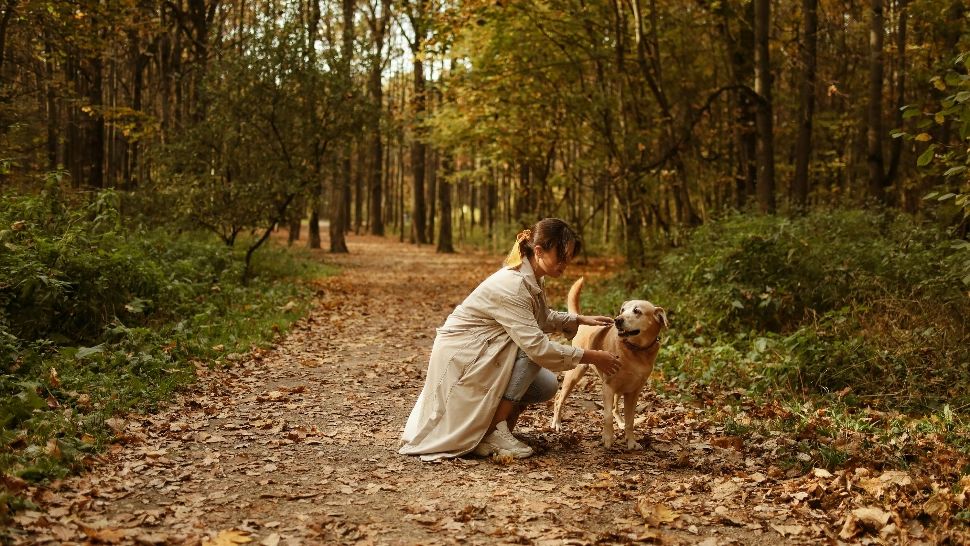 Horoscopul de weekend: 1-2 noiembrie 2025. Primele zile ale lunii aduc multă energie pozitivă, dar și tensiuni pentru câteva zodii