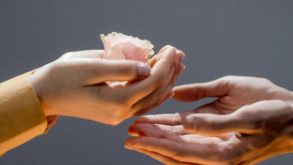 Zodiile care se sacrifică mereu pentru cei aflați în nevoie. Acești nativi sunt cei mai empatici