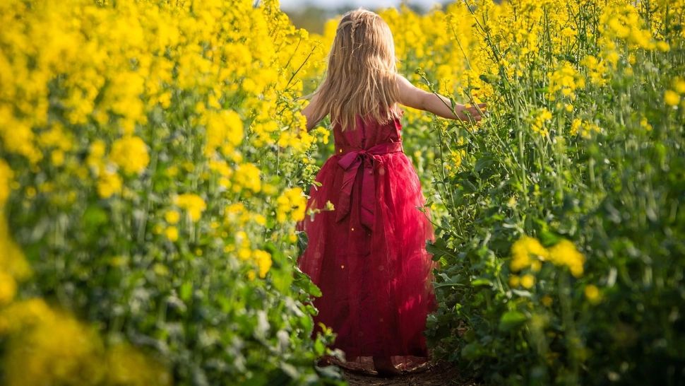 Copilă de 11 ani, adoptată la vârsta de 3 ani, a ajuns la spital cu semne severe de malnutriție. DGASPC a cerut un ordin de protecție, respins de instanță