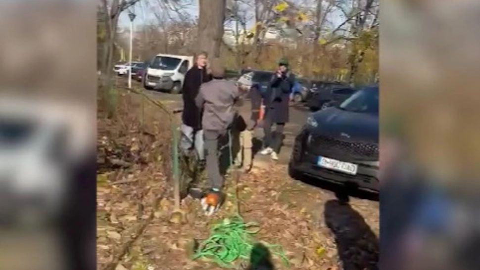 Scandal în Sectorul 3 din cauza tăierilor abuzive. Proteste după tăierile arborilor