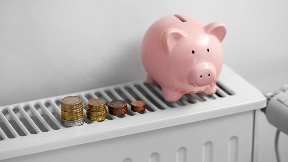 Încălzirea viitorului în România: Peleții și lemnul devin alternative stabile pentru 2026–2028. Ce arată analiza unui distribuitor major din domeniu