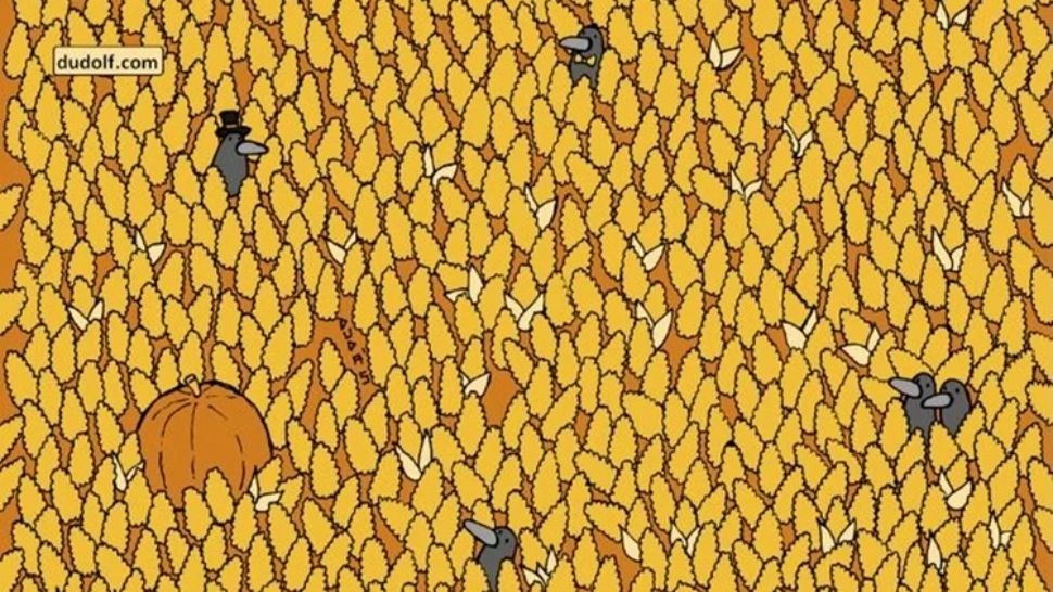 Test IQ la început de săptămână. Poți găsi para ascunsă în imagine în doar 15 secunde? Doar cei cu o minte ascuțită reușesc!