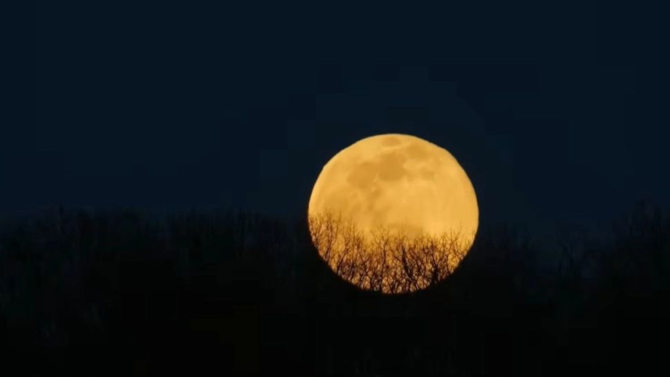 Ce este Luna Castorului și de ce se numește așa. Tradiții și superstiții