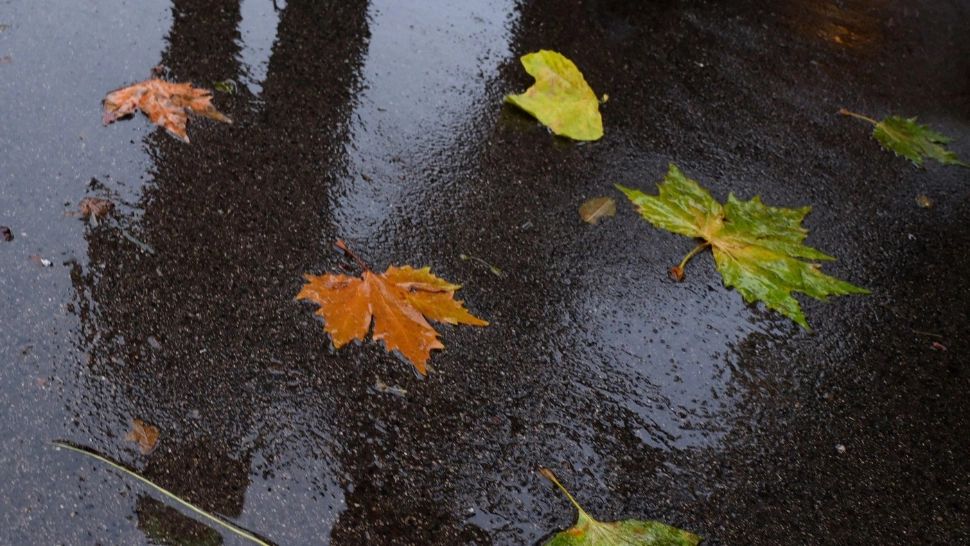 Schimbare radicală a vremii: de miercuri, ploi, vânt și temperaturi în scădere accentuată. La munte sunt așteptate ninsori