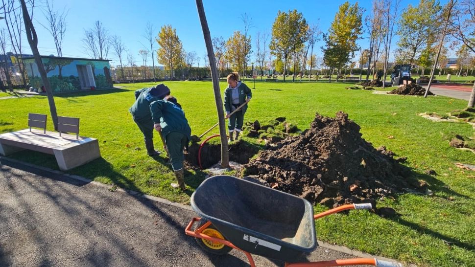 S-au plantat arbori în parcul Tudor Arghezi, în paralel cu extinderea acestuia cu încă 4 hectare
