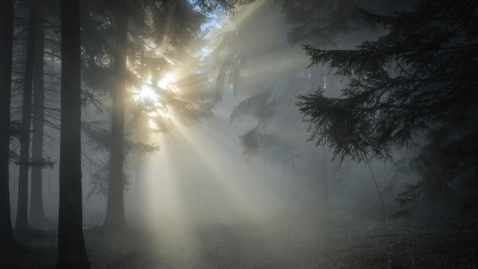 Meteo România, 16 noiembrie. Vreme bună la munte, ploi și ceață în restul zonelor