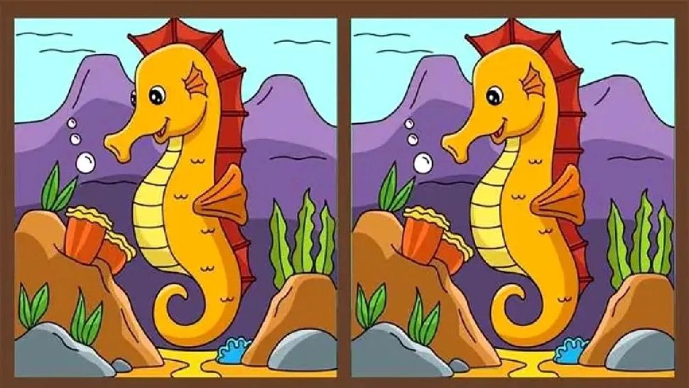 Test IQ: poți găsi cele trei diferențe dintre imagini în mai puțin de 16 secunde?