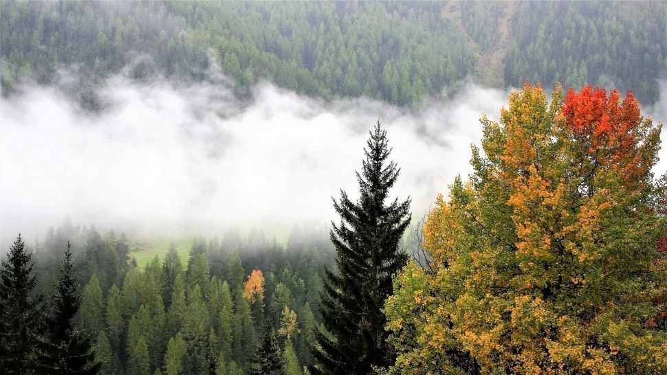 5 locuri superbe de vizitat în România în noiembrie – destinații perfecte pentru weekenduri de toamnă