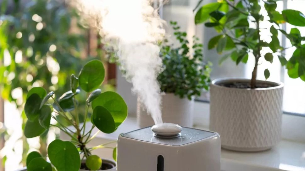 Cât trebuie să fie umiditatea în casă la final de toamnă. Valoarea optimă care te ferește de boli 