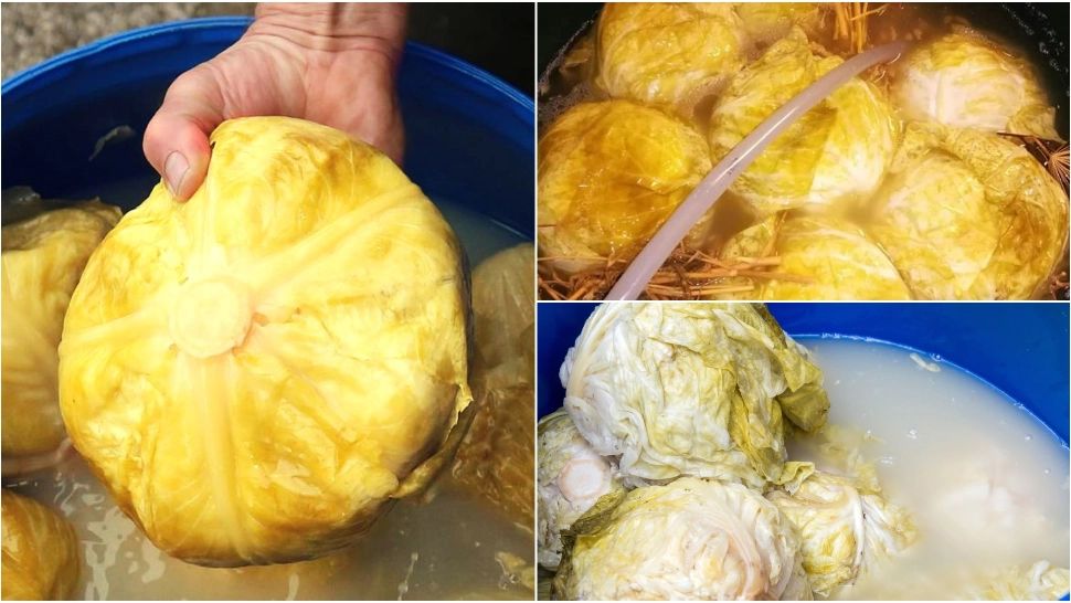 Cu ce se limpezește zeama de varză. Secretul unei saramuri perfecte 