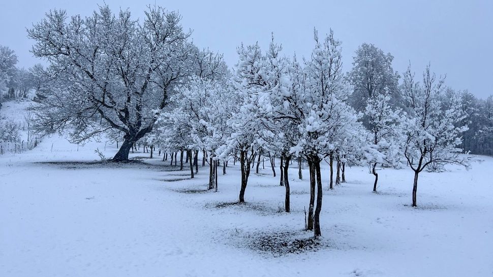 Meteo, România, 27 decembrie: fulguieli izolate, temperaturi scăzute și vânt intens în majoritatea regiunilor