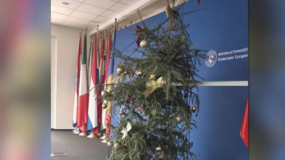 Brad de Crăciun „ca după război” la ministerul lui Pîslaru: imagine jenantă pentru o instituție publică