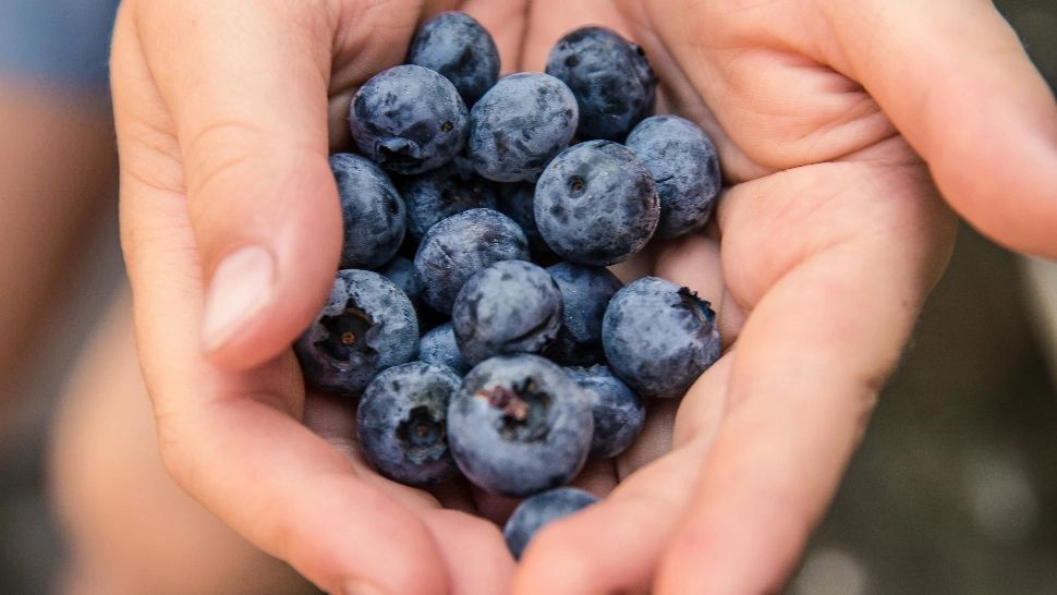 Fructele care îmbunătățesc vederea. Ajută la creșterea acuității vizuale