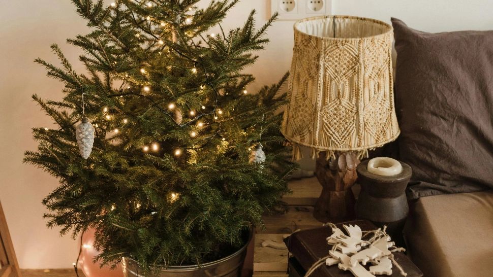 Ce trebuie să faci cu bradul natural de Crăciun ca să reziste mai mult. Trucul pe care trebuie să-l cunoști