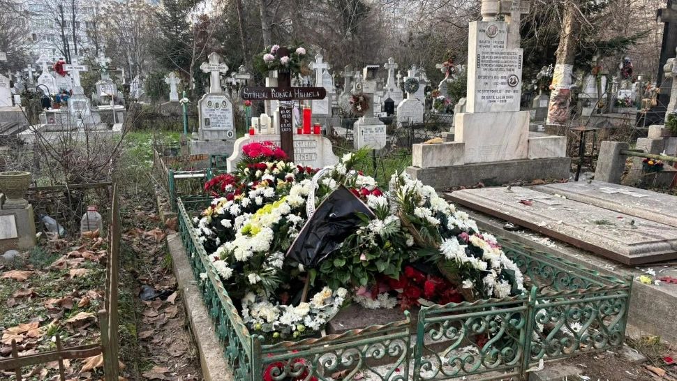 Cum se va împărți averea Rodicăi Stănoiu? La cine ajung vilele?