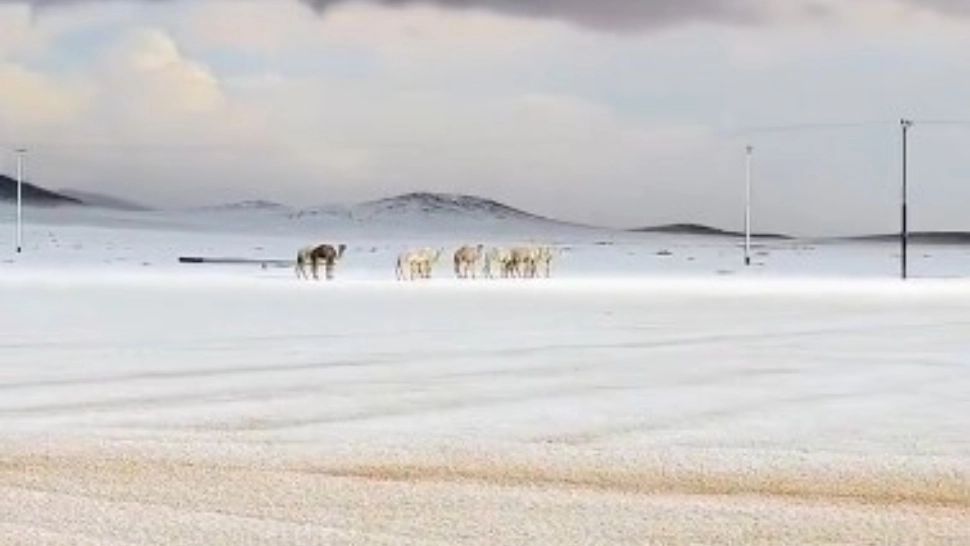 Arabia Saudită sub zăpadă după 30 de ani: dunele de nisip transformate în pârtii de schi