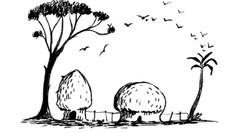 Test IQ pentru oamenii inteligenți. Poți descoperi elefantul ascuns în imagine?