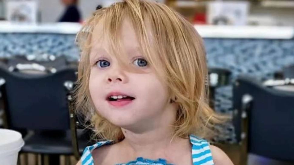 Doi părinți sunt acuzați de moartea fiicei lor. Micuța de doi ani a fost sfâșiată de câinele familiei