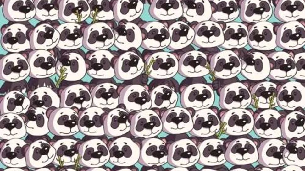 Test IQ pentru românii SMART. Poți găsi câinele ascuns printre urșii panda?