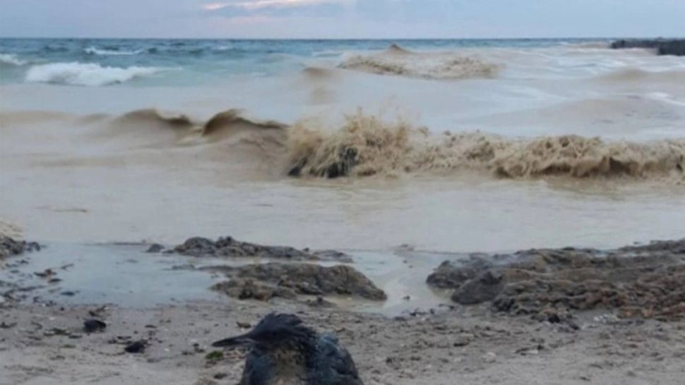 Alertă la Marea Neagră. O dronă a fost semnalată în apropiere de Portul Midia. Reacția Ministerului Apărării