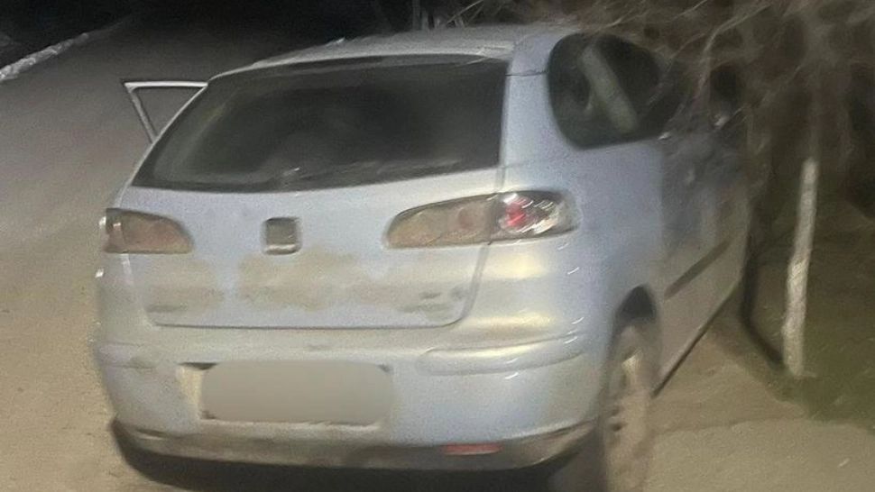 Urmărire ca în filme în Dolj: un șofer fără permis a fugit de poliție și s-a ascuns într-un adăpost pentru animale