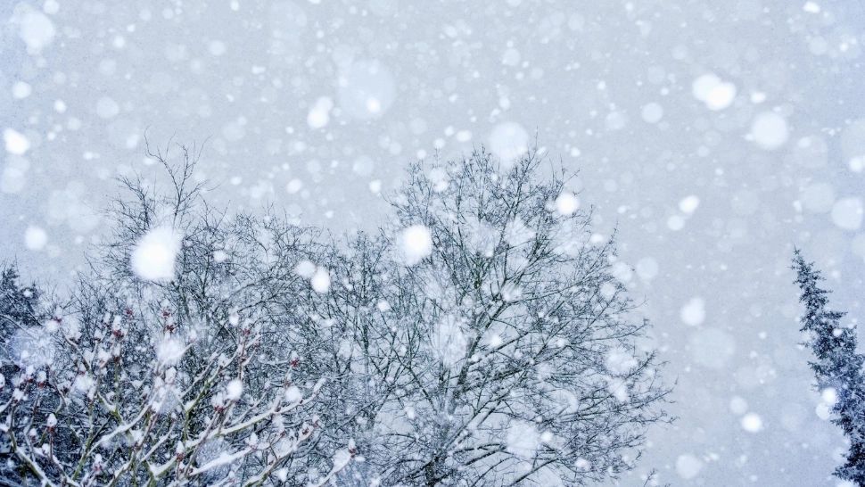 Ianuarie începe cu frig: temperaturi sub normalul perioadei și precipitații până pe 19 ianuarie