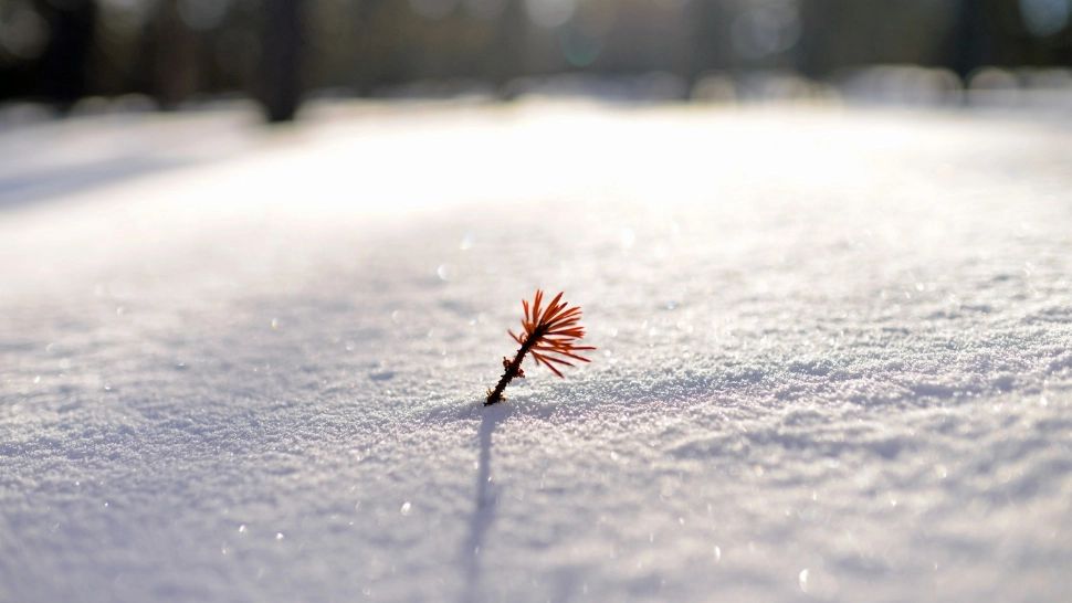 Cea mai scurtă zi din 2025, tot mai aproape: când are loc solstițiul de iarnă