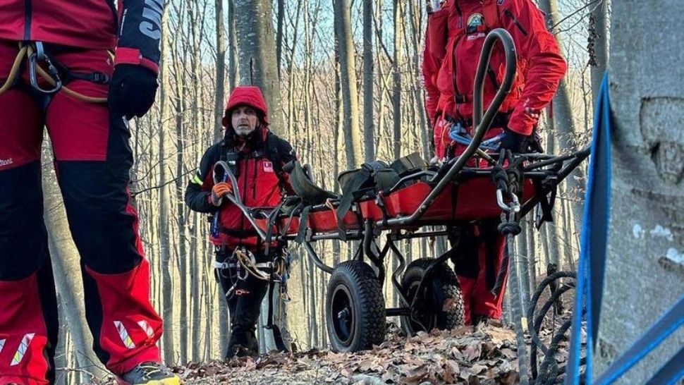 Descoperire neașteptată în Argeș: bărbat dispărut de două zile, găsit fără viață într-o zonă forestieră