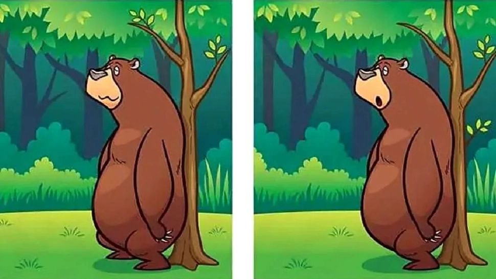 Test IQ pentru genii. Poți depista cele șase diferențe în mai puțin de 20 de secunde?