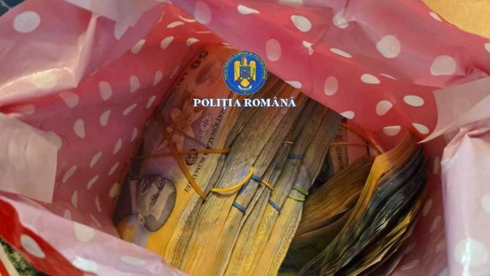 Descinderi în Suceava: percheziții ample în două dosare privind evaziunea fiscală, delapidarea și traficul ilegal de lemn