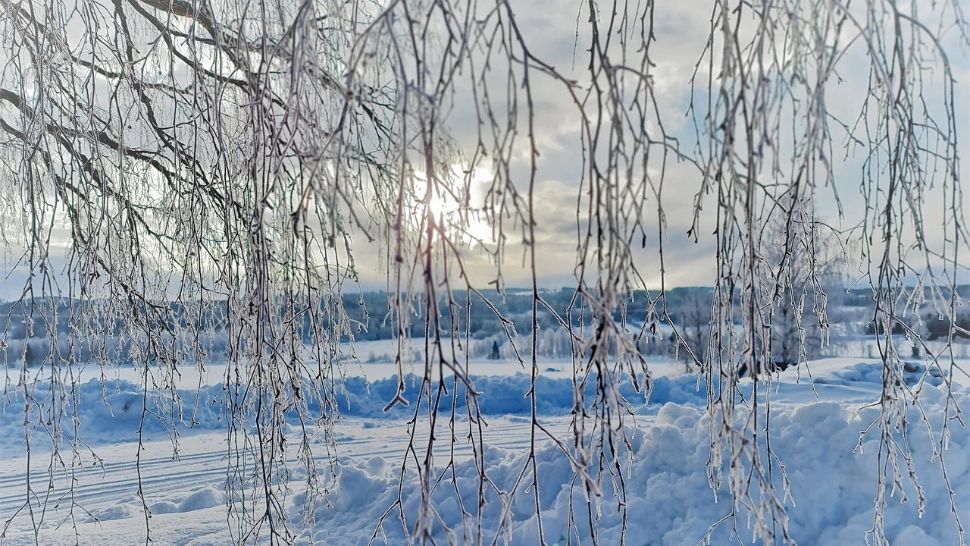 Alertă ANM: COD ROȘU de ninsori abundente. Ce ne așteaptă în următoarele ore?
