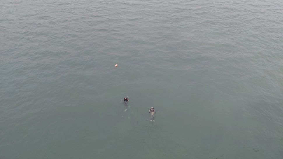 Alertă pe podul de la Agigea! O persoană s-ar fi aruncat în Dunăre. Scafandrii au întrerupt căutările fără să găsească nimic - VIDEO