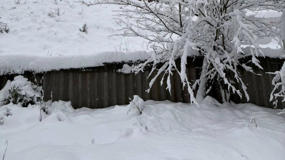 Alertă meteo COD GALBEN: ninsoare și viscol în munți, strat de zăpadă de până la 15 cm în Transilvania și Maramureș - HARTA cu zonele vizate