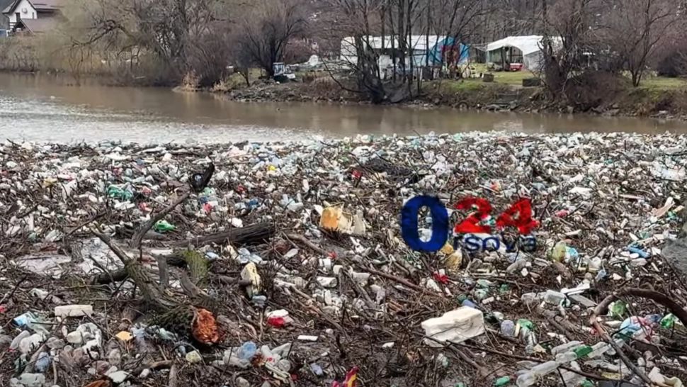 Alertă de mediu! Covor de gunoaie pe Dunăre: avertismentul experților VIDEO 