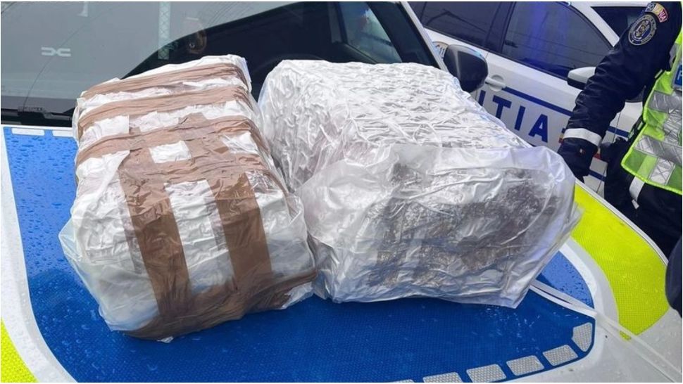 Rețea de trafic de droguri de mare risc destructurată în Vrancea. 15 kilograme de canabis, descoperite de poliţişti într-o mașină