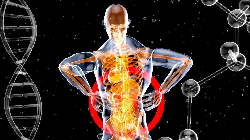 Obiceiul banal care îți poate prelungi viața. Descoperirea oamenilor de știință: multe decese ar putea fi prevenite 