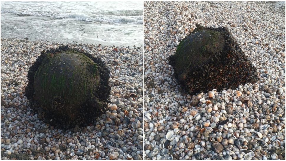 Alertă la Marea Neagră. O mină a fost găsită în zona poligonului de tragere de la Midia -FOTO/VIDEO