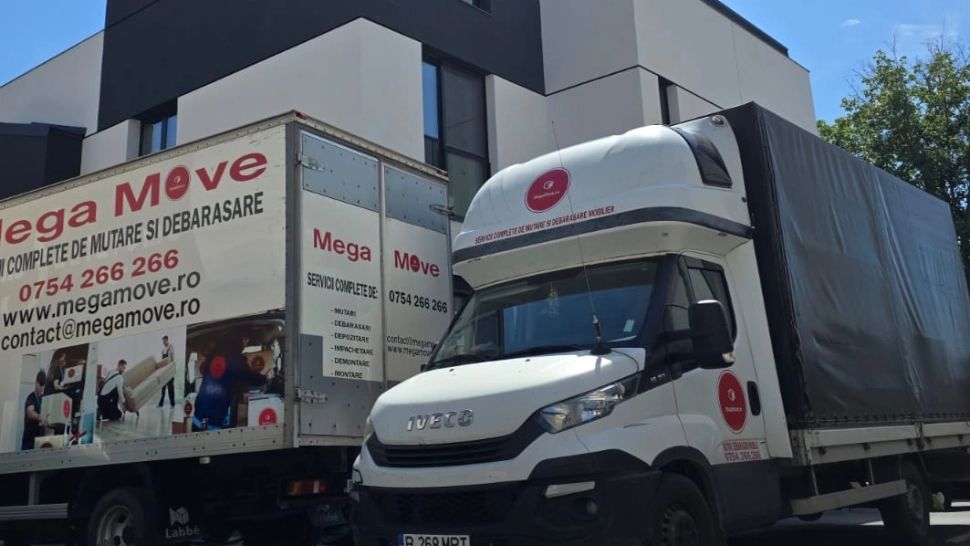 Cum să organizezi mutări de mobilă rapid și fără stres