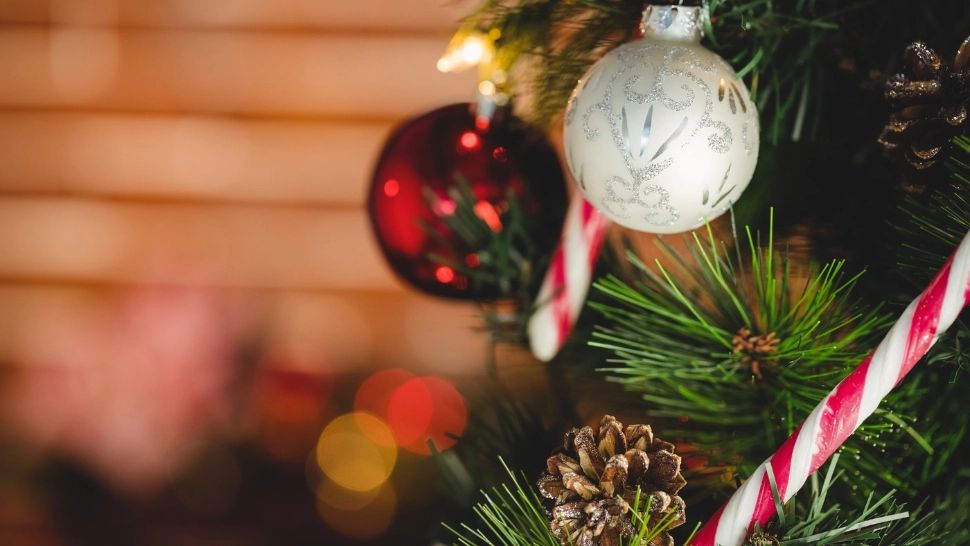 Când e momentul potrivit să strângi bradul de Crăciun: tradiții și bune practici