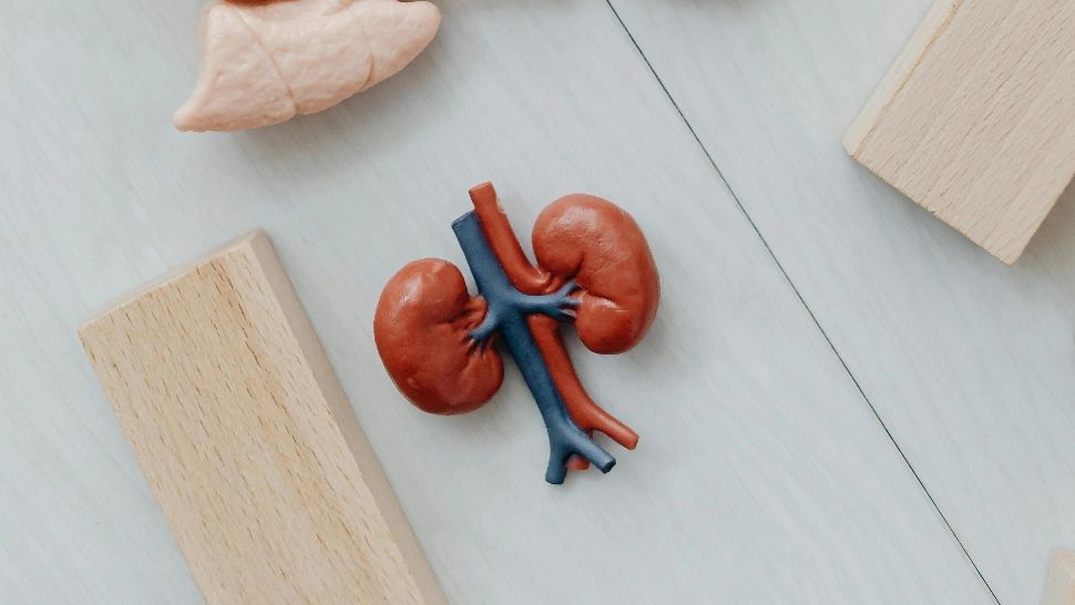 Pietrele la rinichi nu sunt doar depuneri de oxalați. Surprinzător ce s-a descoperit în urma unui nou studiu