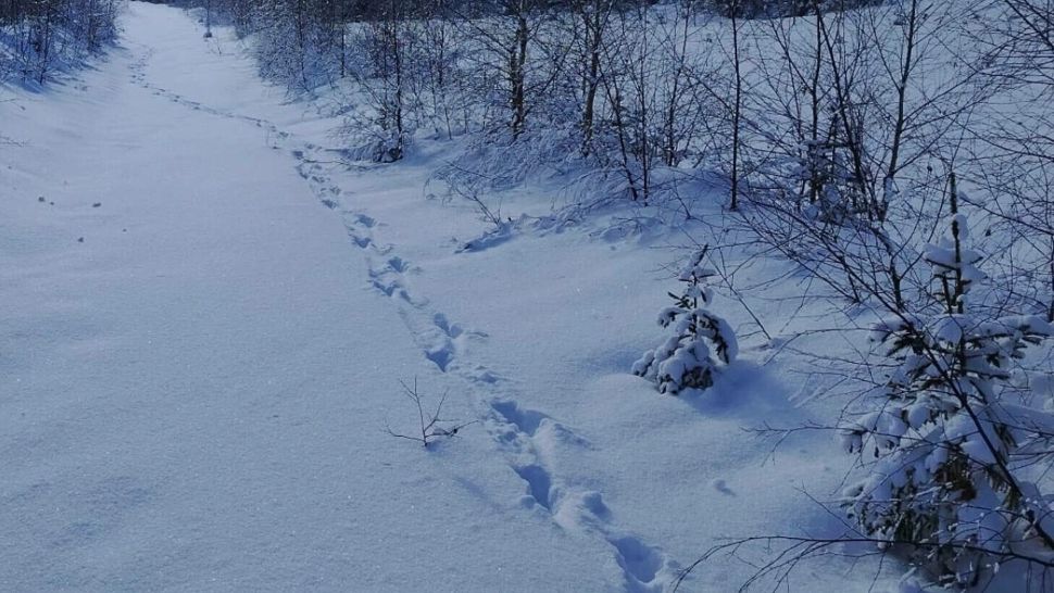 Salvamont Suceava anunță care sunt traseele montane pe care turiștii trebuie să le evite. Lista locurilor unde oamenii sunt în mare pericol