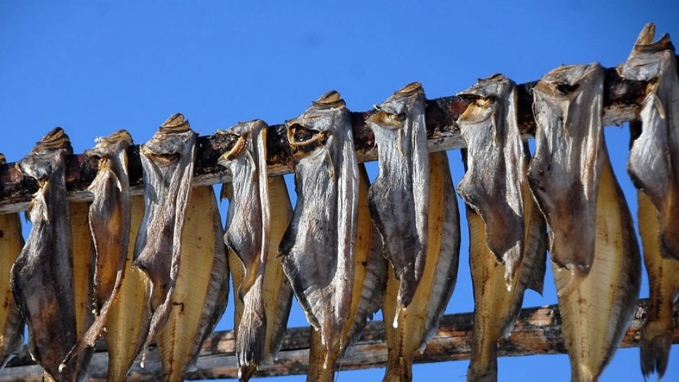 „Batog de sturion” devine al 16-lea produs românesc recunoscut și înregistrat la nivel european